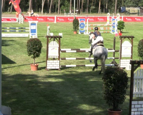Reitturnier Cottbus-Sielow 2024
