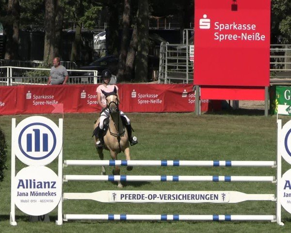 Reitturnier Cottbus-Sielow 2024