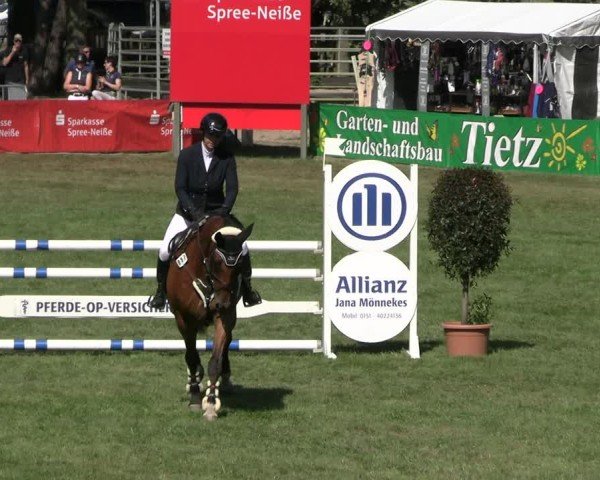Reitturnier Cottbus-Sielow 2024