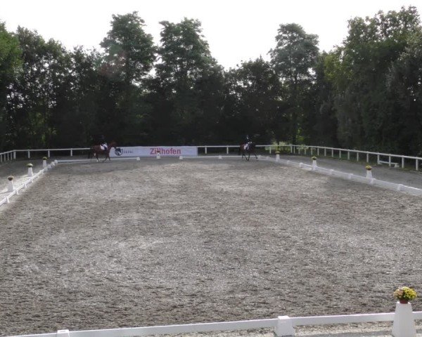 Reitturnier Zillhofen/Obb. 2024