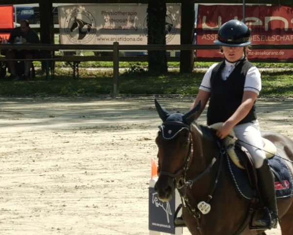 Reitturnier Walldorf/Winterheck 2024