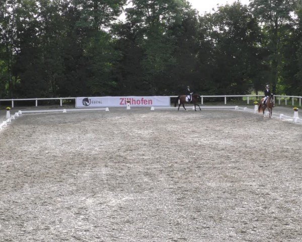 Reitturnier Zillhofen/Obb. 2024