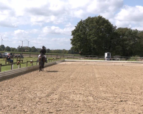 Reitturnier Ostbevern 2024