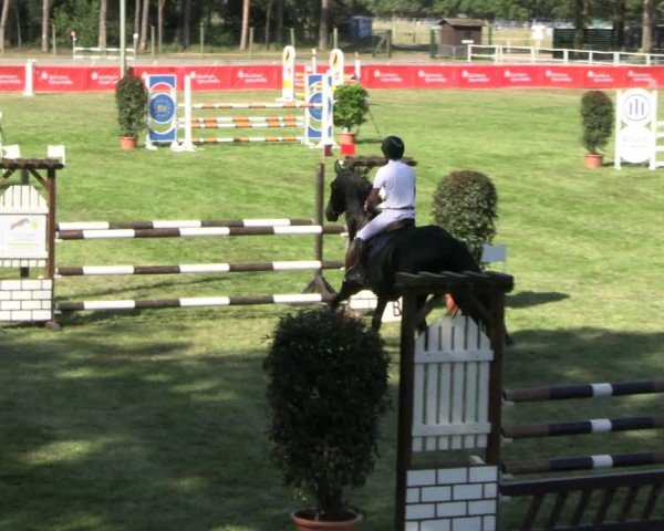 Reitturnier Cottbus-Sielow 2024