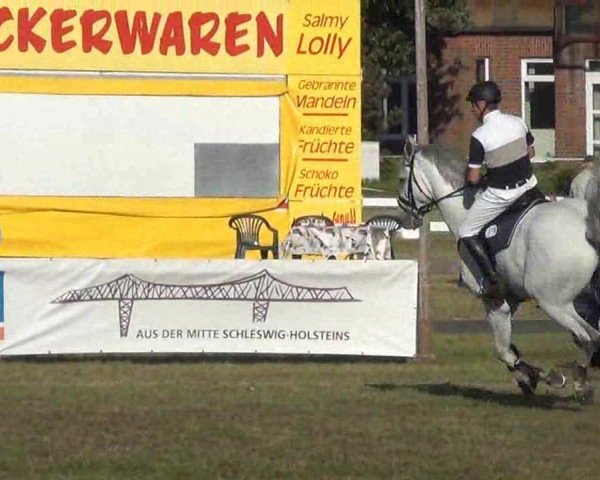 Nord-Ost-Pferd 2013