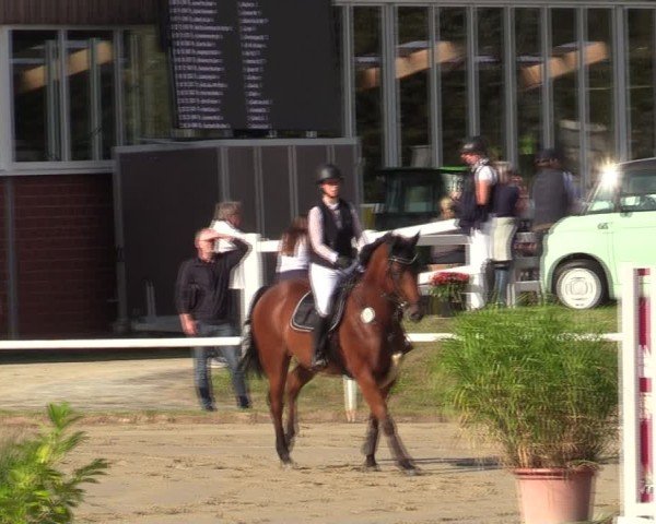 Reitturnier Werne 2024