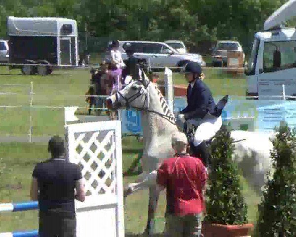 Reitturnier Rendsburg 2013