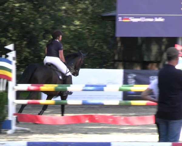 Reitturnier Solingen 2024