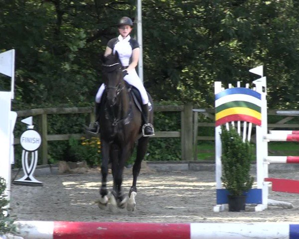 Reitturnier Solingen 2024