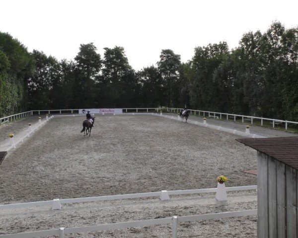 Reitturnier Zillhofen/Obb. 2024