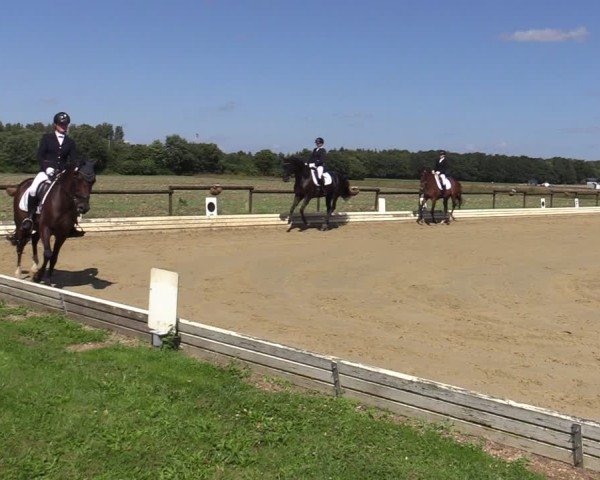 Reitturnier Ostbevern 2024