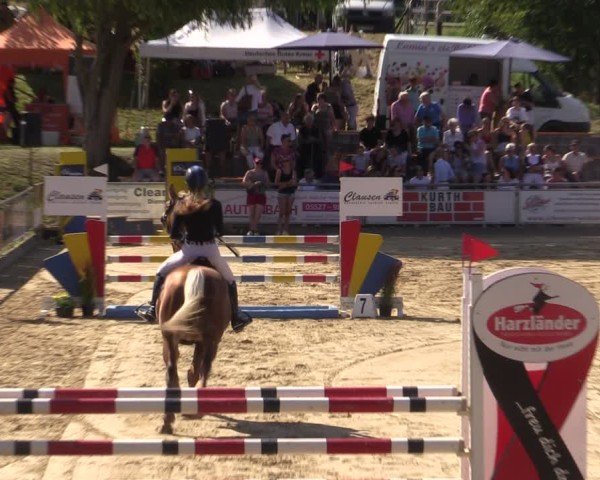 Reitturnier Duderstadt 2024