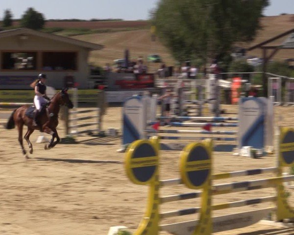 Reitturnier Duderstadt 2024