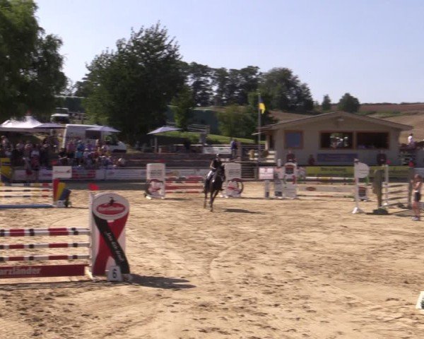 Reitturnier Duderstadt 2024