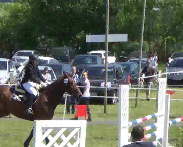 Nord-Ost-Pferd 2013