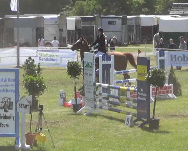 Nord-Ost-Pferd 2013