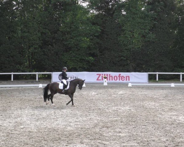 Reitturnier Zillhofen/Obb. 2024