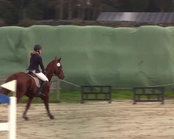 Reitturnier Schülp / Rendsburg 2021