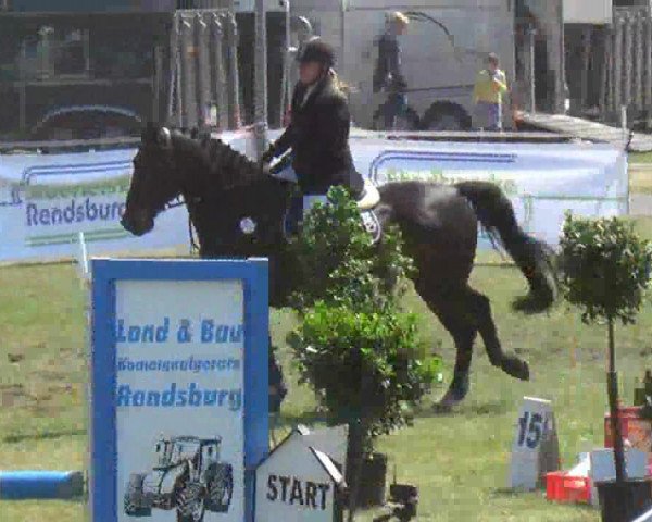 Reitturnier Rendsburg 2013
