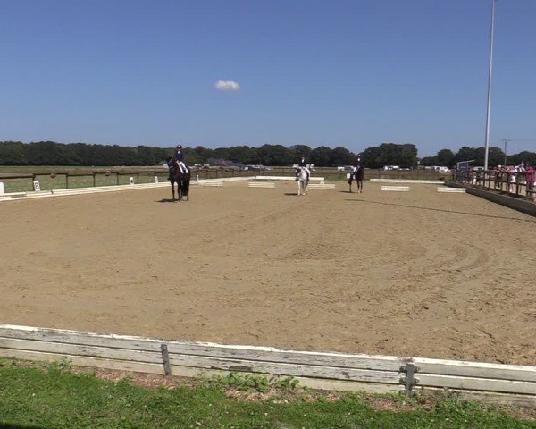 Reitturnier Ostbevern 2024