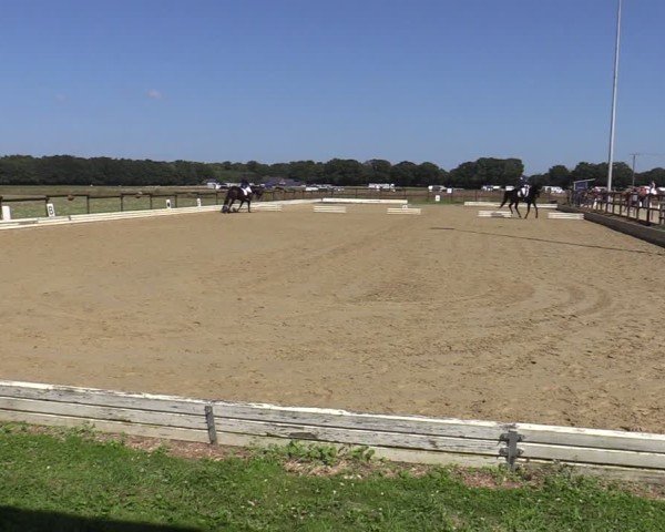 Reitturnier Ostbevern 2024