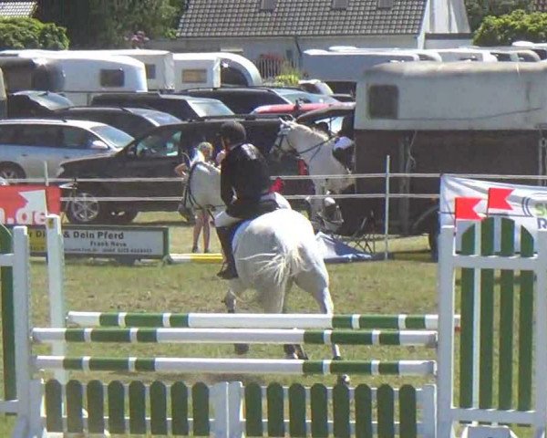 Reitturnier Rendsburg 2013