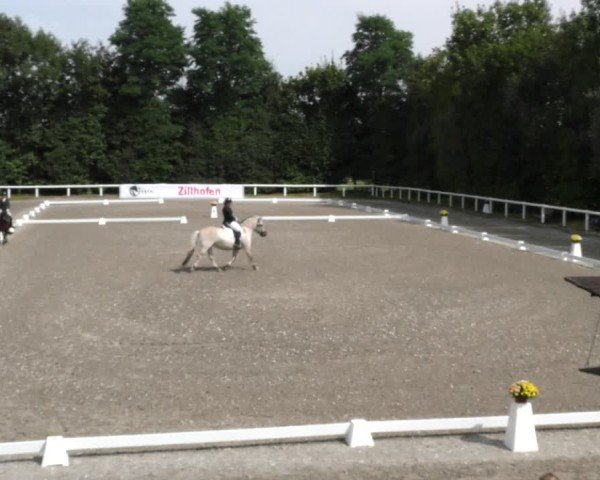 Reitturnier Zillhofen/Obb. 2024