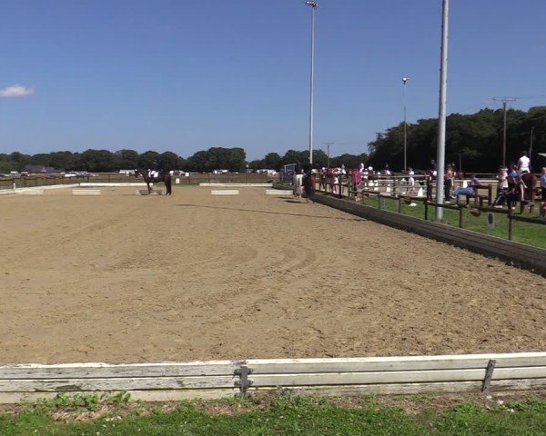 Reitturnier Ostbevern 2024