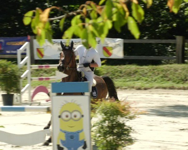 Reitturnier Walldorf/Winterheck 2024