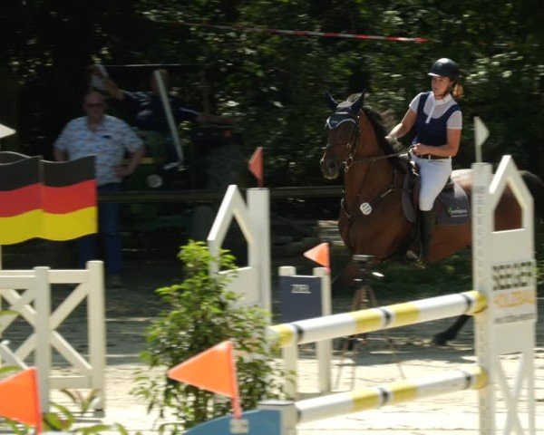 Reitturnier Walldorf/Winterheck 2024