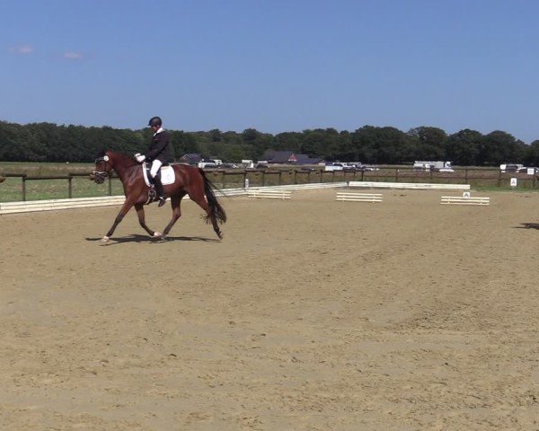 Reitturnier Ostbevern 2024