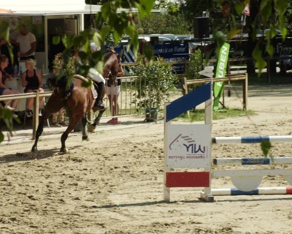 Reitturnier Walldorf/Winterheck 2024