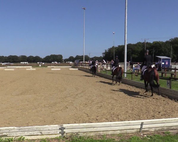 Reitturnier Ostbevern 2024