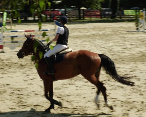 Reitturnier Walldorf/Winterheck 2024