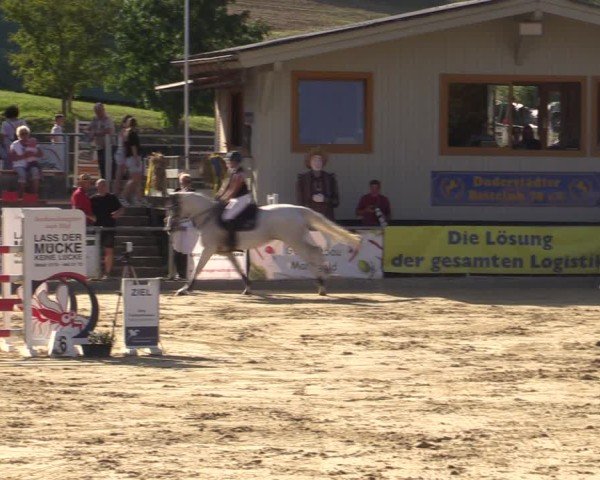 Reitturnier Duderstadt 2024