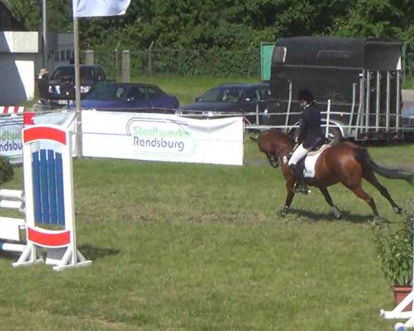 Nord-Ost-Pferd 2013