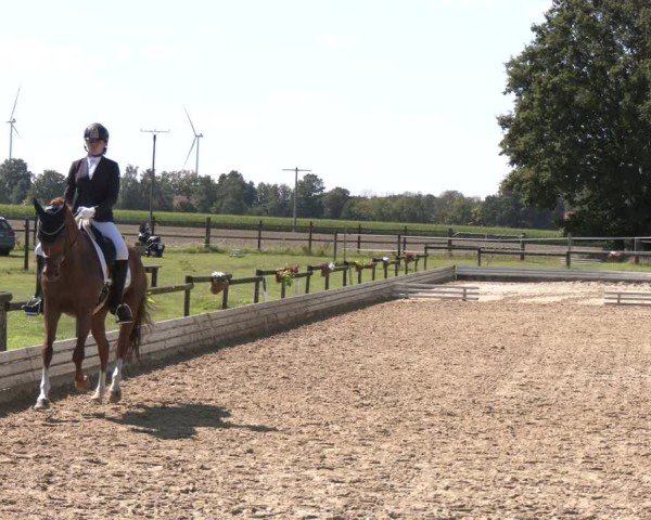 Reitturnier Ostbevern 2024