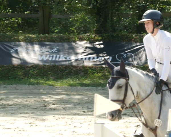 Reitturnier Walldorf/Winterheck 2024