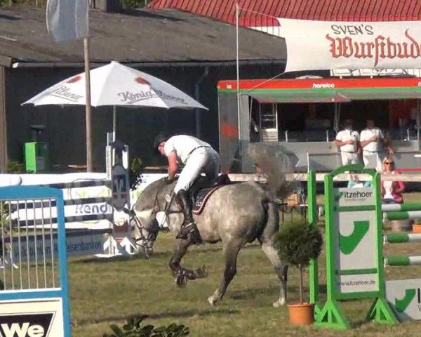 Reitturnier Rendsburg 2013