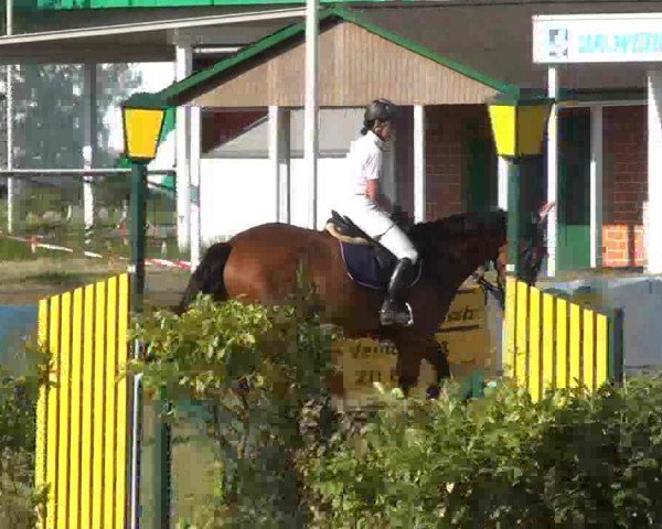 Nord-Ost-Pferd 2013