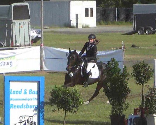 Reitturnier Rendsburg 2013