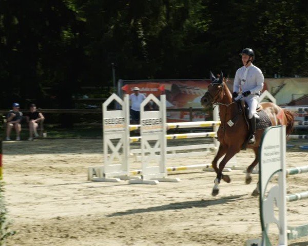 Reitturnier Walldorf/Winterheck 2024