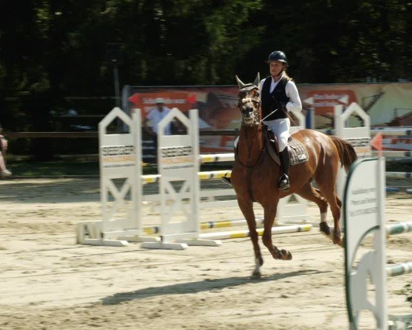 Reitturnier Walldorf/Winterheck 2024