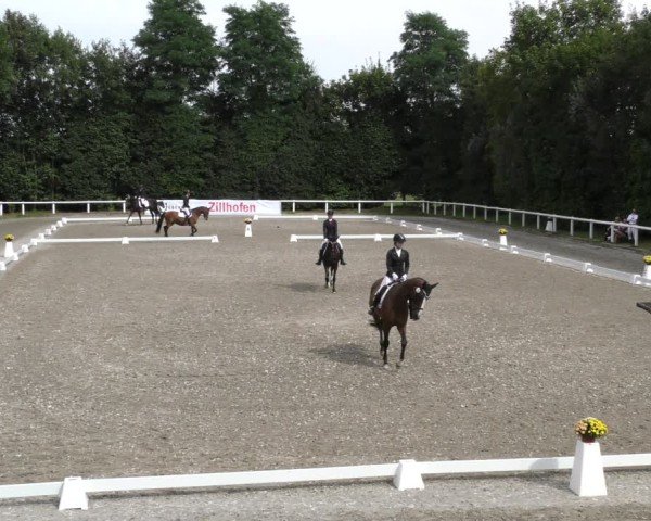 Reitturnier Zillhofen/Obb. 2024