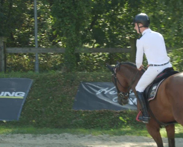 Reitturnier Walldorf/Winterheck 2024
