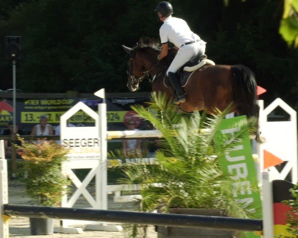 Reitturnier Walldorf/Winterheck 2024
