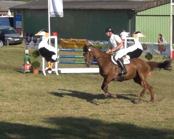 Nord-Ost-Pferd 2013