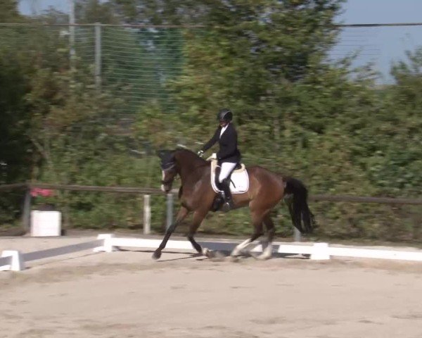 Reitturnier Großbardorf/Ufr. 2024