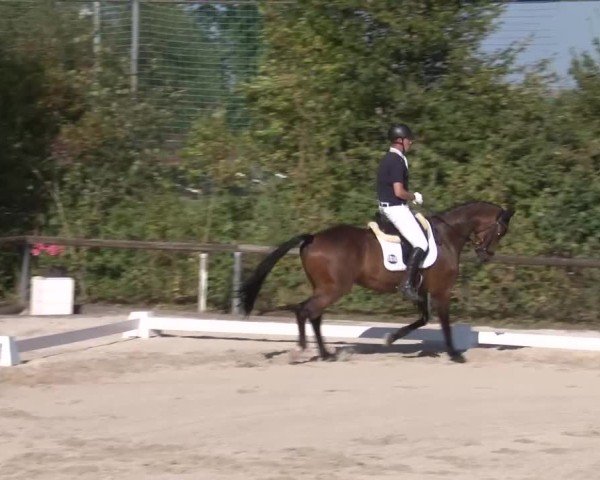 Reitturnier Großbardorf/Ufr. 2024