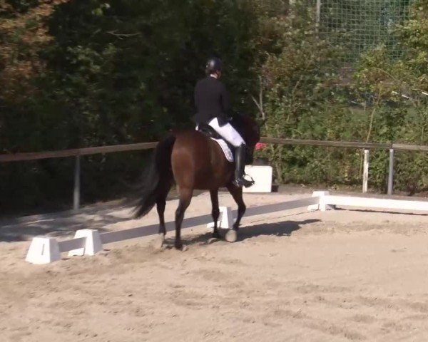 Reitturnier Großbardorf/Ufr. 2024